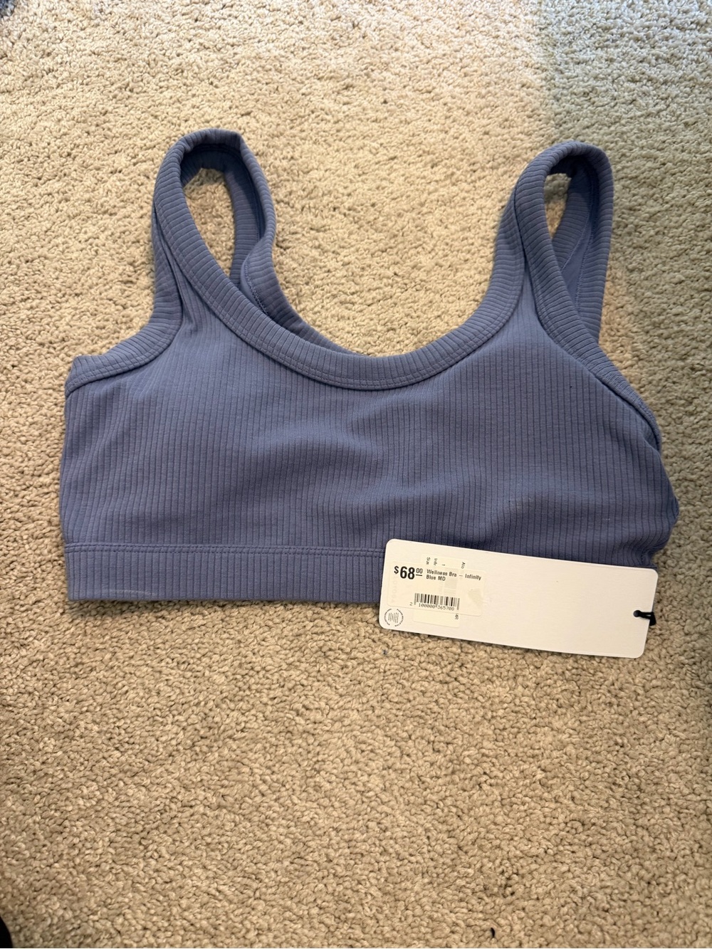 ALO Yoga Ribbed Scoop Bralette - Dusty Blue